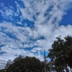 DSC_0478 - コピー (2)